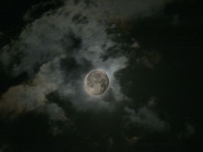 Featured image 1