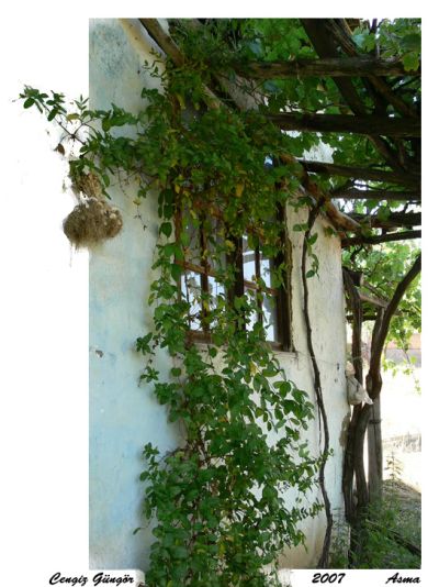 Featured image 1