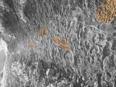 Featured image 1