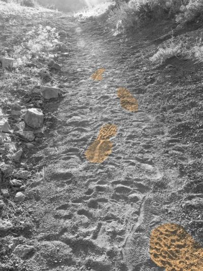 Featured image 1