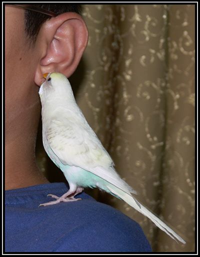 Featured image 1