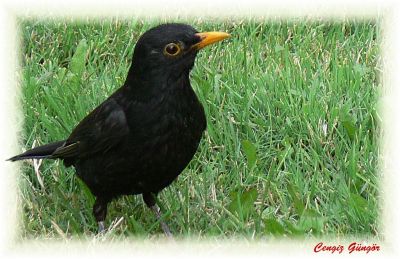Featured image 1