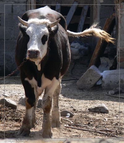 Featured image 1