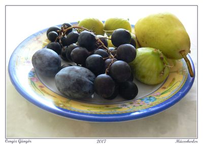 Featured image 1