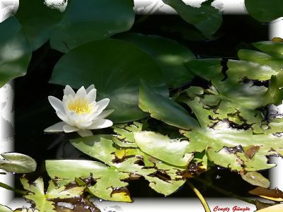 Featured image 1