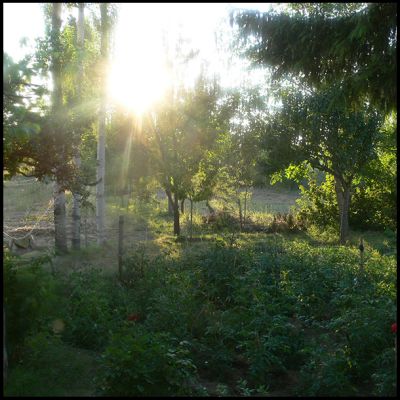 Featured image 1