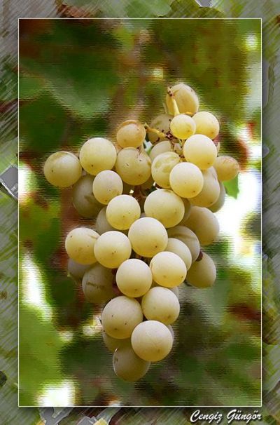 Featured image 1