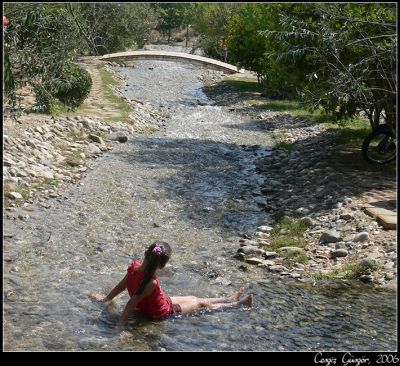 Featured image 1