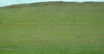 Featured image 1