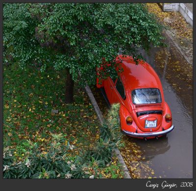 Featured image 1