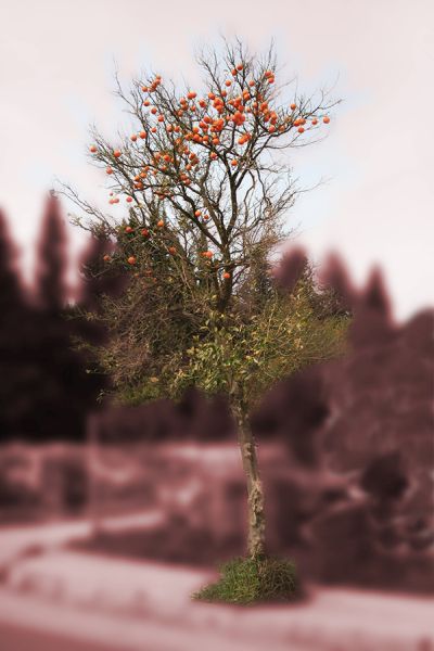 Featured image 1